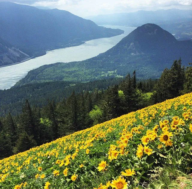best hikes in the columbia gorge
