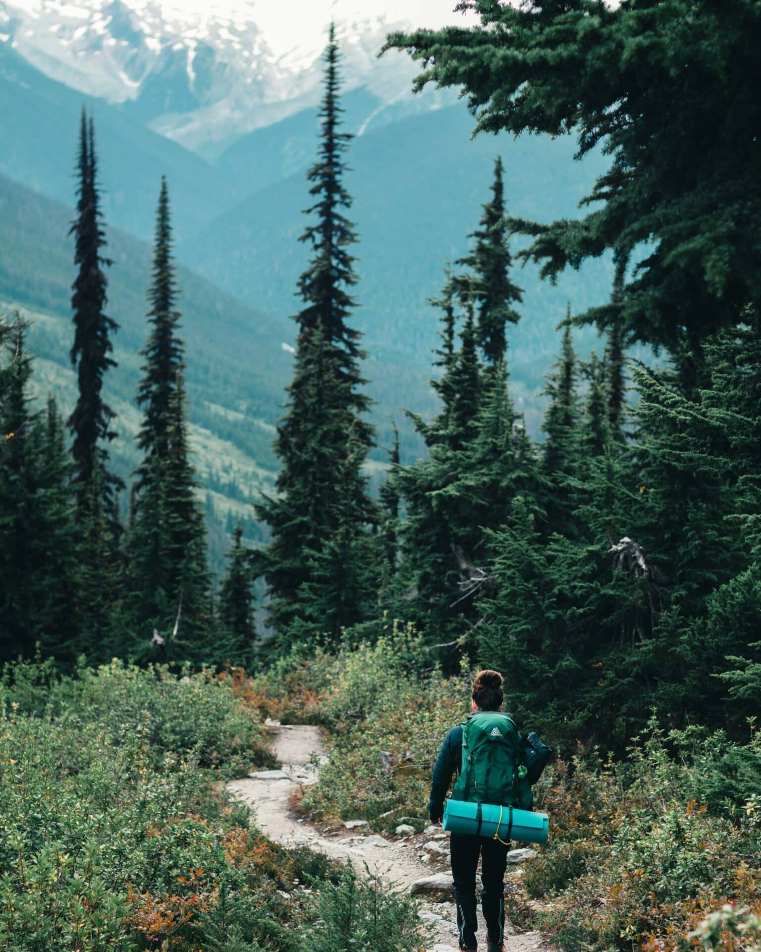 forest hiking