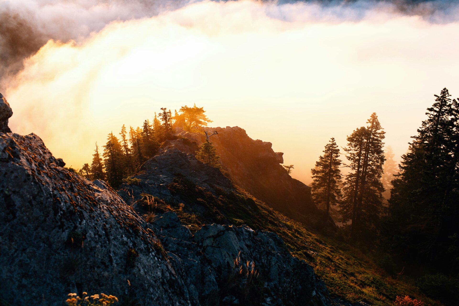 Larch Mountain at Sunrise