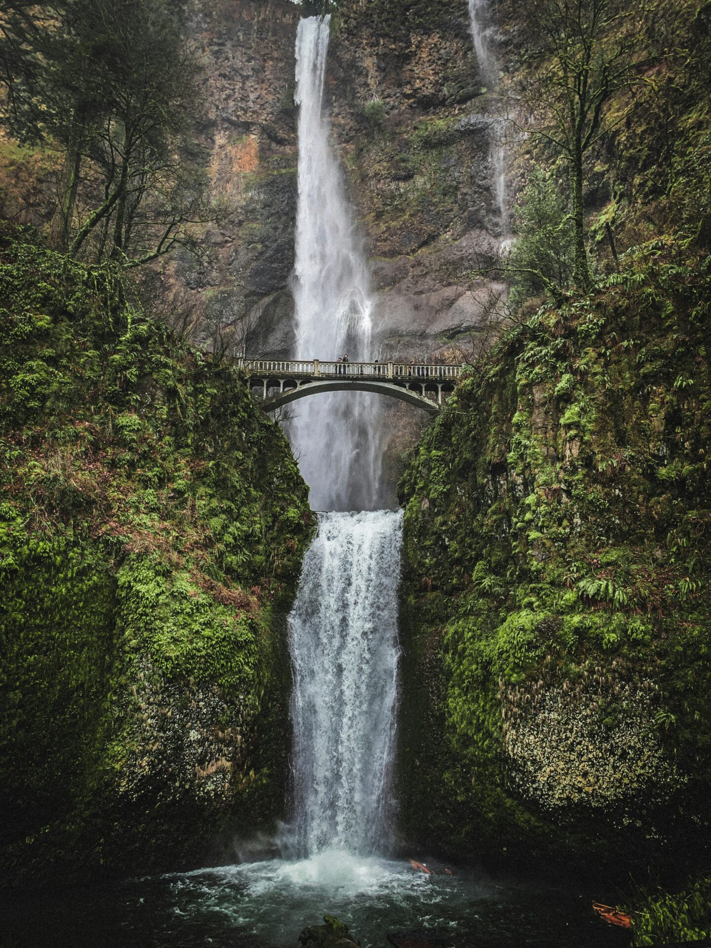 the highest falls in oregon