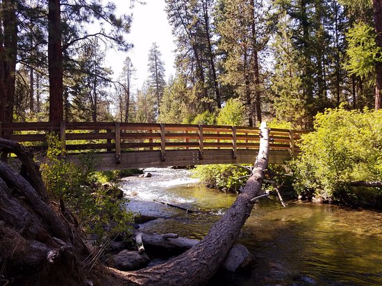 Shevlin Park Bend