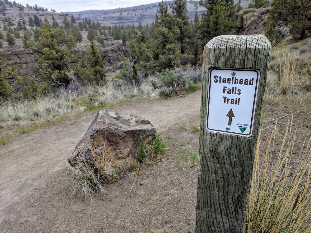 Trail to Steelhead Falls