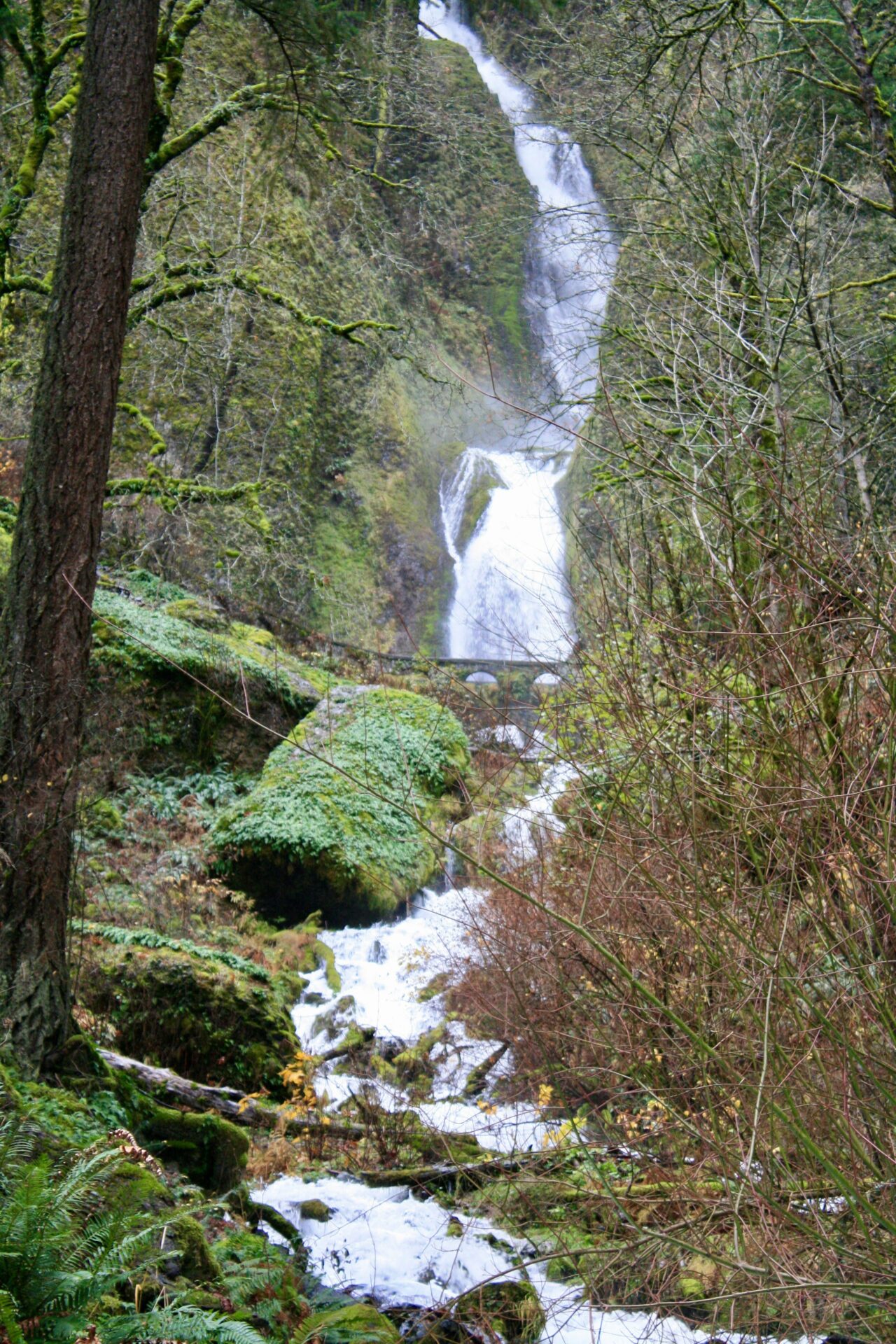 Best Hikes in Columbia Gorge