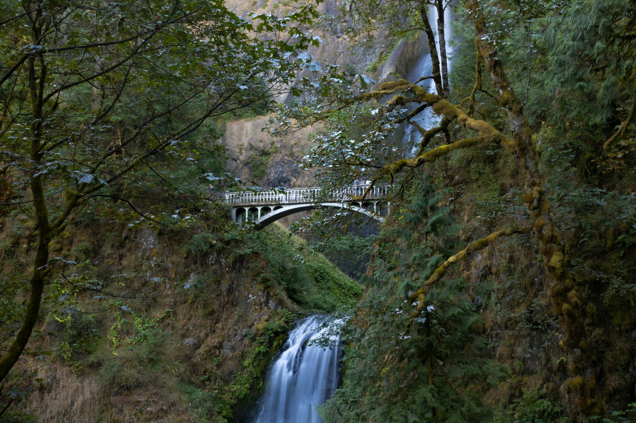 Beautiful view of Multnomah Falls with lush greenery and a historic bridge in Oregon.