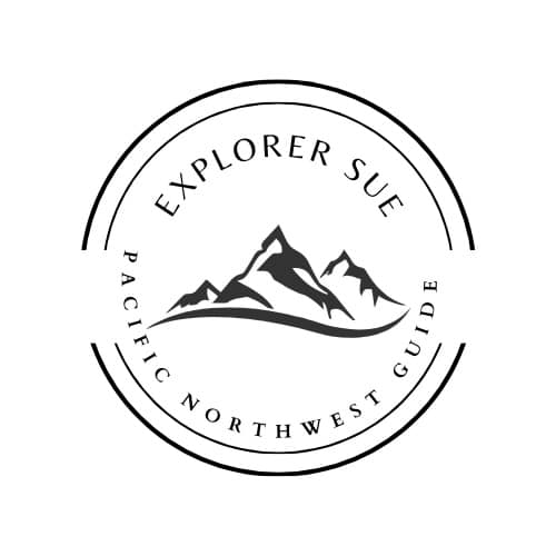 Explorer Sue Logo