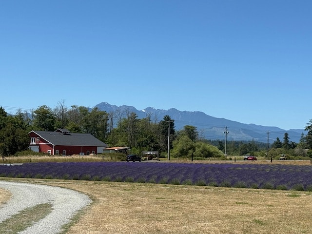 A lavender field in Sequim, Washington.