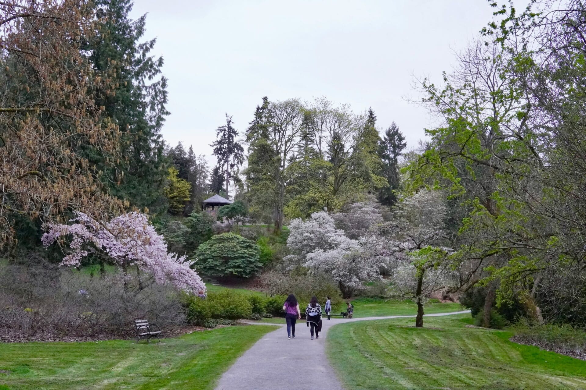 Washington Park Arboretum, Seattle