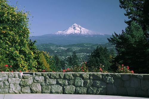 A view of Mt. Hood from Council Crest Park, Portland.
