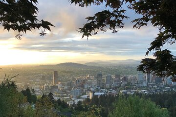 A view of Portland from Washington Park.